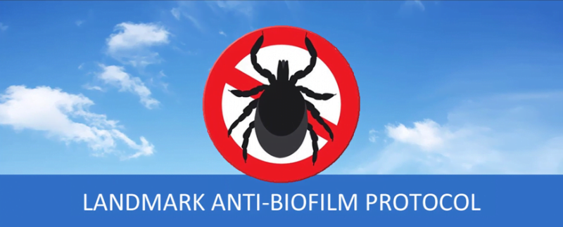 Landmark Anti-Biofilm Protocol (Lyme Disease, Autoimmune Conditions)