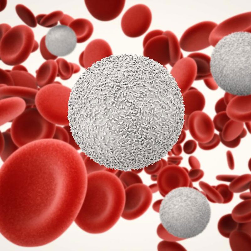 Oradix – Chelation Innovation